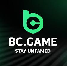 How to Download BC.Game Mobile A Complete Guide -154369452