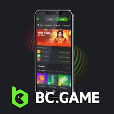 Descubre la Experiencia de Juego en Mexico BC.Game