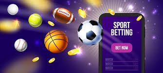 Découvrez Betwinner  la plateforme de paris sportifs innovante