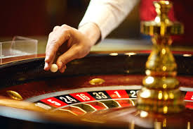 Exploring Evolution Red Door Roulette A Game of Chance and Strategy -1669531870 Exploring Evolution Red Door Roulette A Game of Chance and Strategy -1669531870
