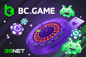 Understanding BC.Game India Payment Methods