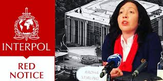 Understanding the Role of Interpol Defense Lawyers 1326259410