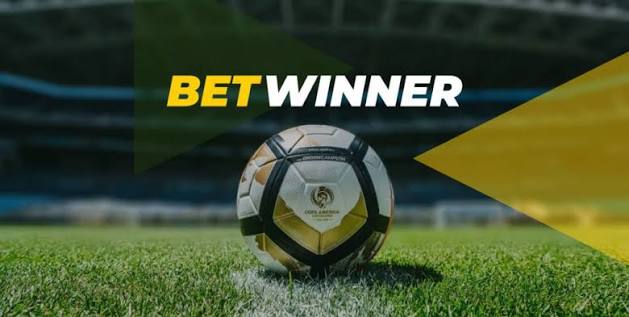 A Comprehensive Guide to BetWinner Betting