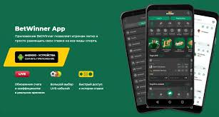 BetWinner Online Casino Your Ultimate Gaming Destination -841765558