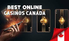 Discover the Best Live Casinos A Comprehensive Guide