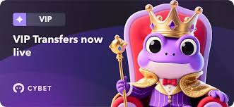 Explore the Excitement of Cybet Crypto Casino