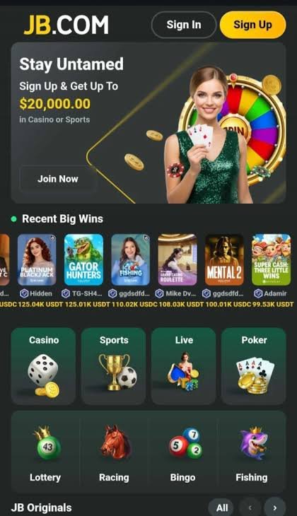 JB Casino Explained Your Comprehensive Guide to Online Gaming