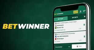 The Ultimate BetWinner Betting Guide for Beginners and Pros