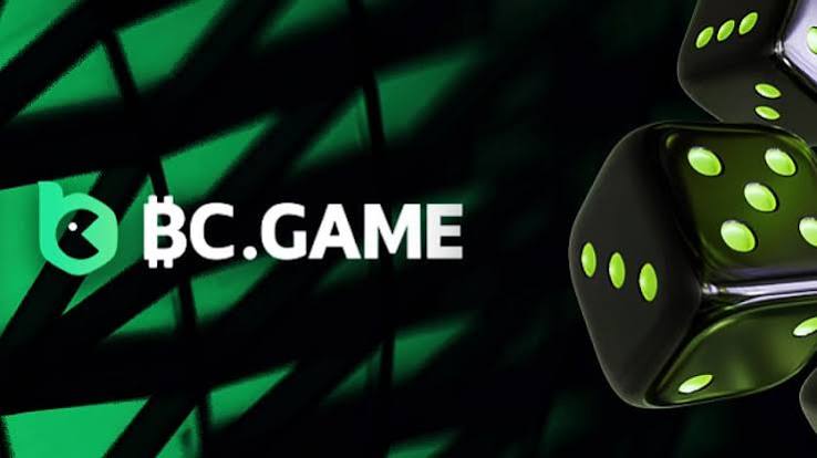 BCStavka APK File Your Ultimate Betting Companion 951766333