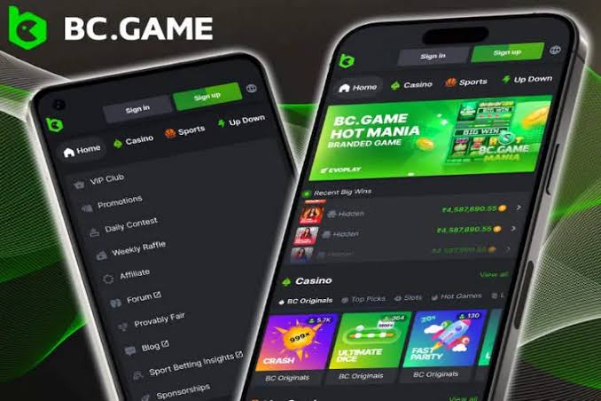 BCStavka APK File Your Ultimate Betting Companion 951766333