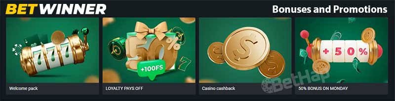 BetWinner App Your Gateway to Exciting Betting Experience